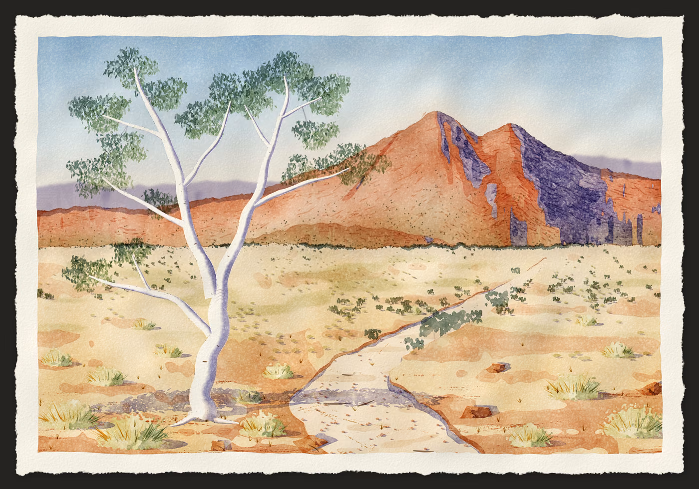 Ghost Gum, West MacDonnell Ranges